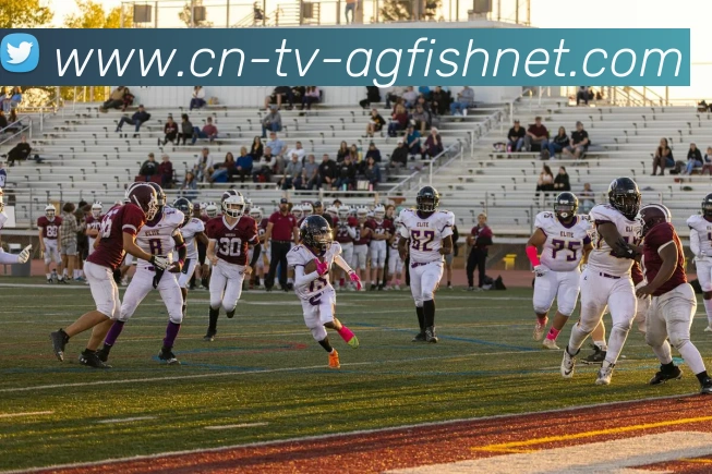 法甲历史最佳足球场：顶级场地与其历史地位