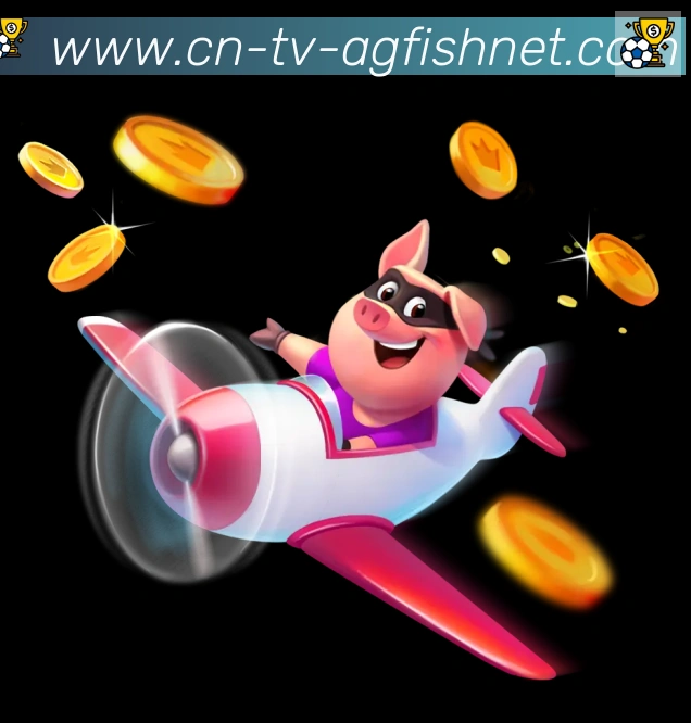 奖项3
